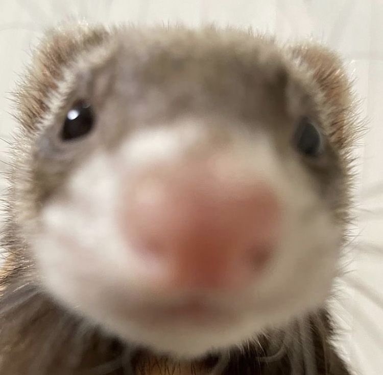 Mental health check, how have my friends been doing? ❤️