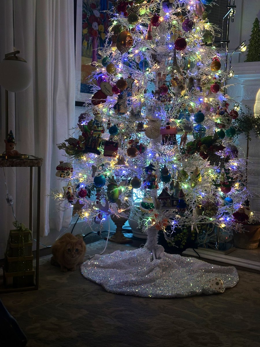 freenowswift's tweet image. 