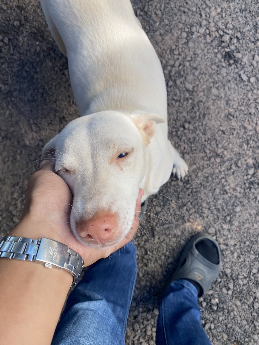 PoMP2E's tweet image. แค่ซาวกีต้าร์ ก็น้ำตาคลอแล้ว