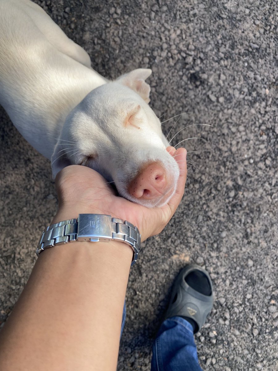 PoMP2E's tweet image. แค่ซาวกีต้าร์ ก็น้ำตาคลอแล้ว