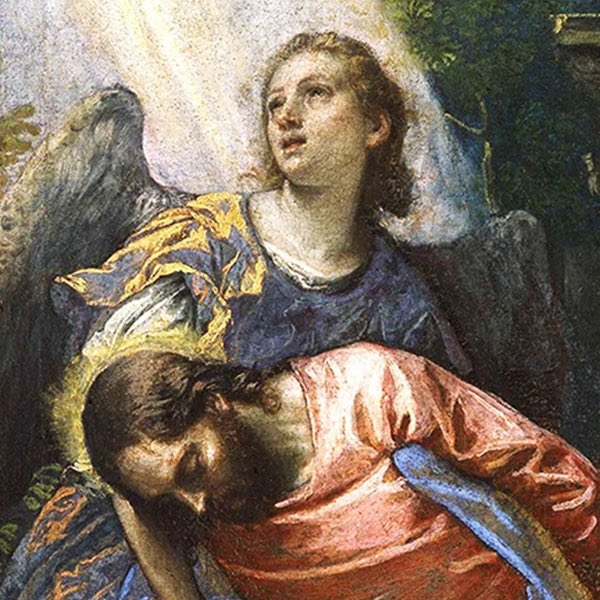 Jesus Christ, my God, I adore You and thank You for all the graces You have given me this day. I offer You my sleep and all the moments of this night. I place myself and all my loved ones, wherever they may be, in Your sacred side and under the mantle of Our Blessed Mother. Let