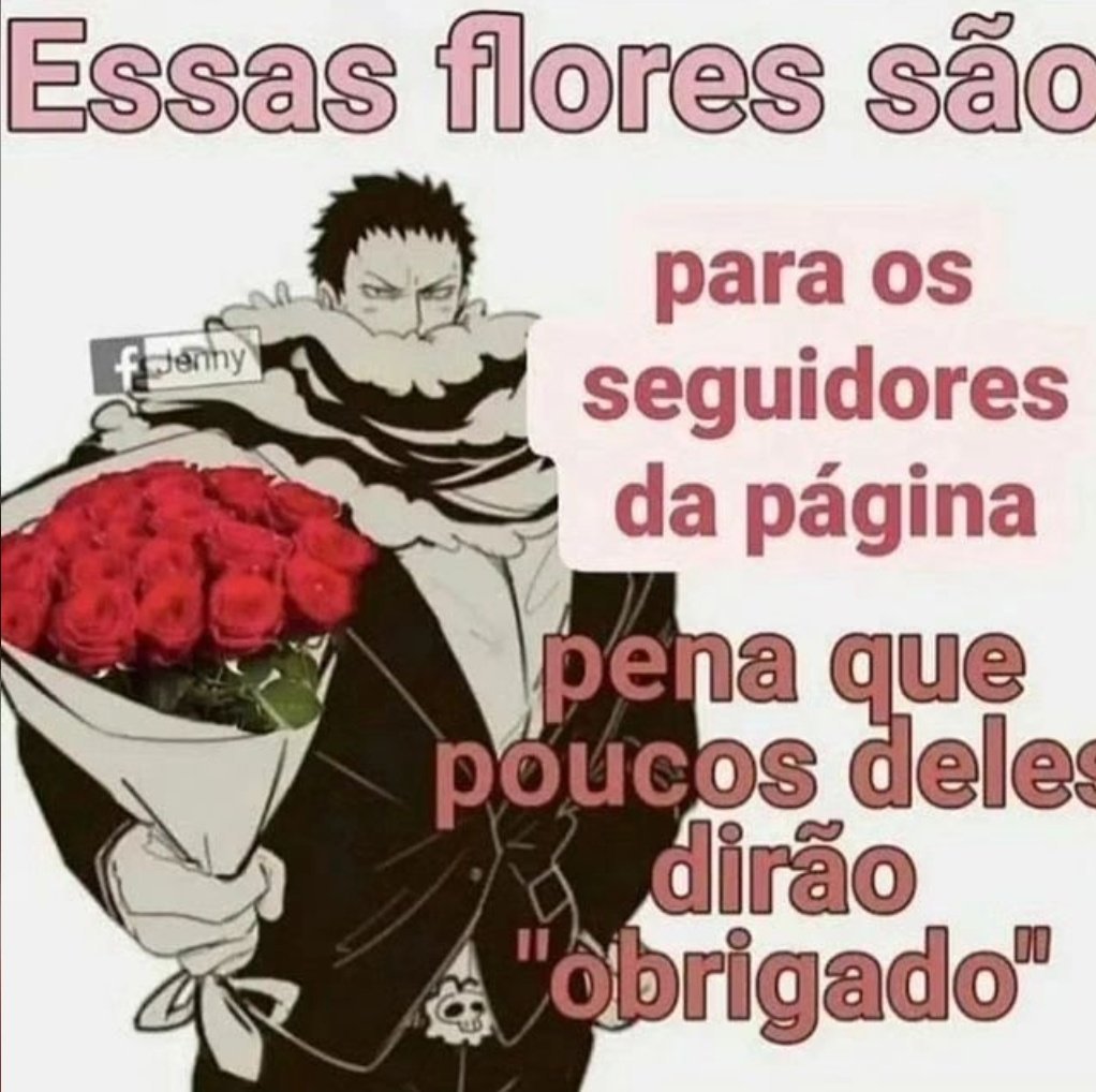 Traficante de Memes tweet media