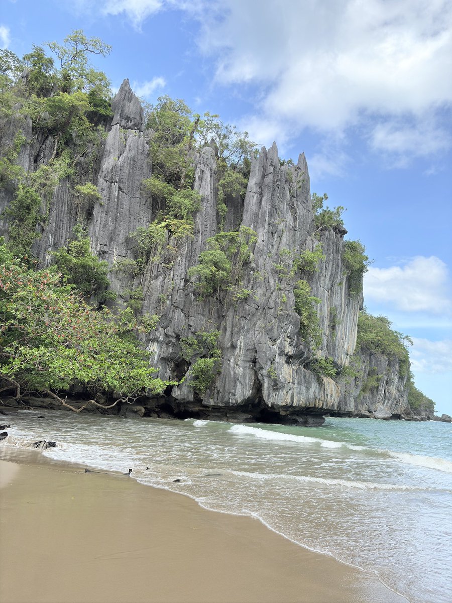 GoBeafeb's tweet image. #PuertoPrincesa #Palawan 🇵🇭