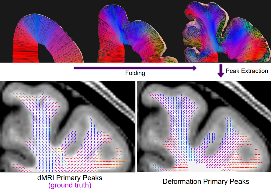 Maxime Chamberland tweet media