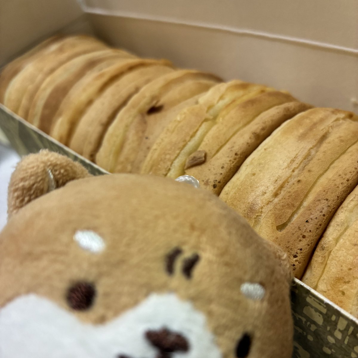 ままりも🐶 tweet media