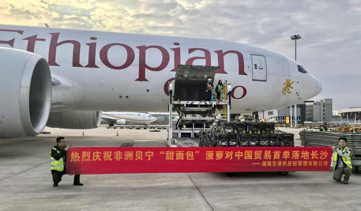 ChangShaDaily's tweet image. On December 15, 1,000 kilograms of #Benin 's "Sweet Bread" #pineapples touched down at #Changsha Airport Port aboard #Hunan’s inaugural #Africa-bound Fifth Freedom Route all-cargo flight, marking the successful arrival of the first-ever shipment of this premium fruit exported to…