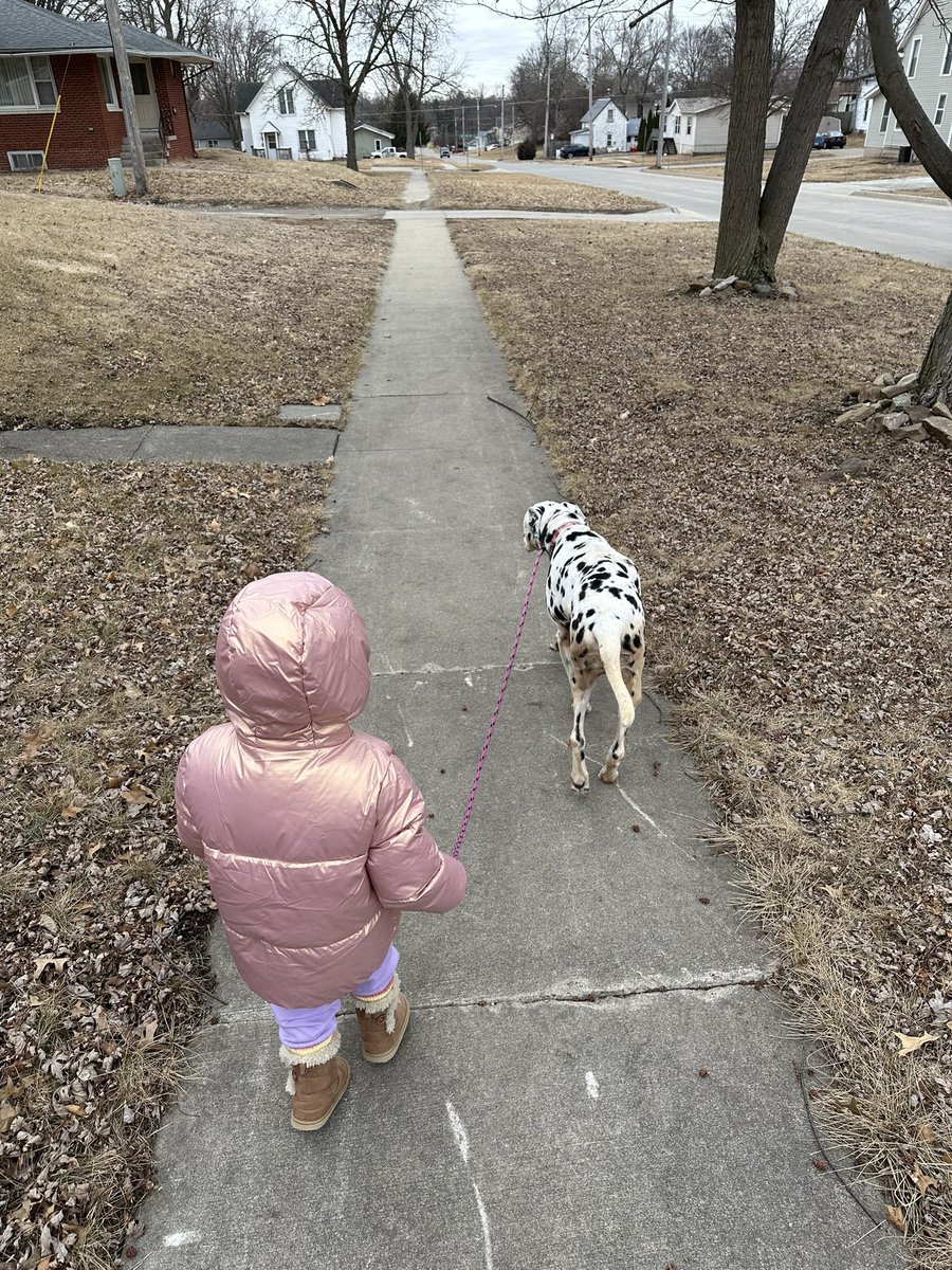 For those of you I’ve gotten to know over the years I have posted about our loyal canine friend the last 7 years. 

We adopted this 9 year old Dalmatian in 2019. She had a ton of health issues and didn’t seem like she’d live more than a few years. We fed her well. We played,