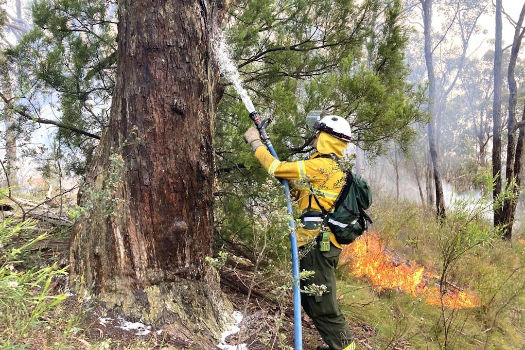Do you have an idea to reduce bushfire risk and support firefighting? We're seeking feedback about the draft Adelaide and Mounty Lofty Ranges and Fleurieu Peninsula fire management plans. Have your say now buff.ly/aBurnbV