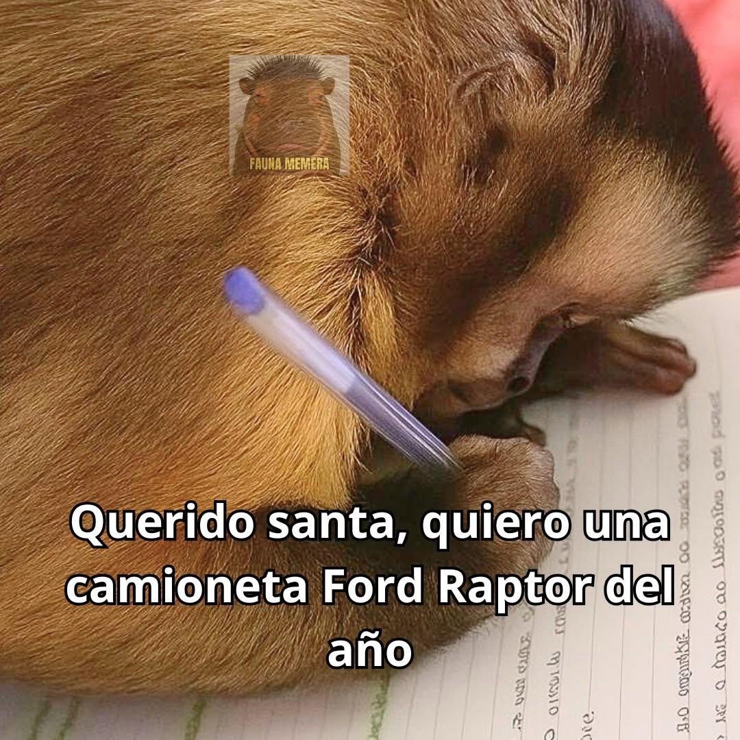 RincnCuriosoo's tweet image. Yo con 30 años haciendo mi cartita.