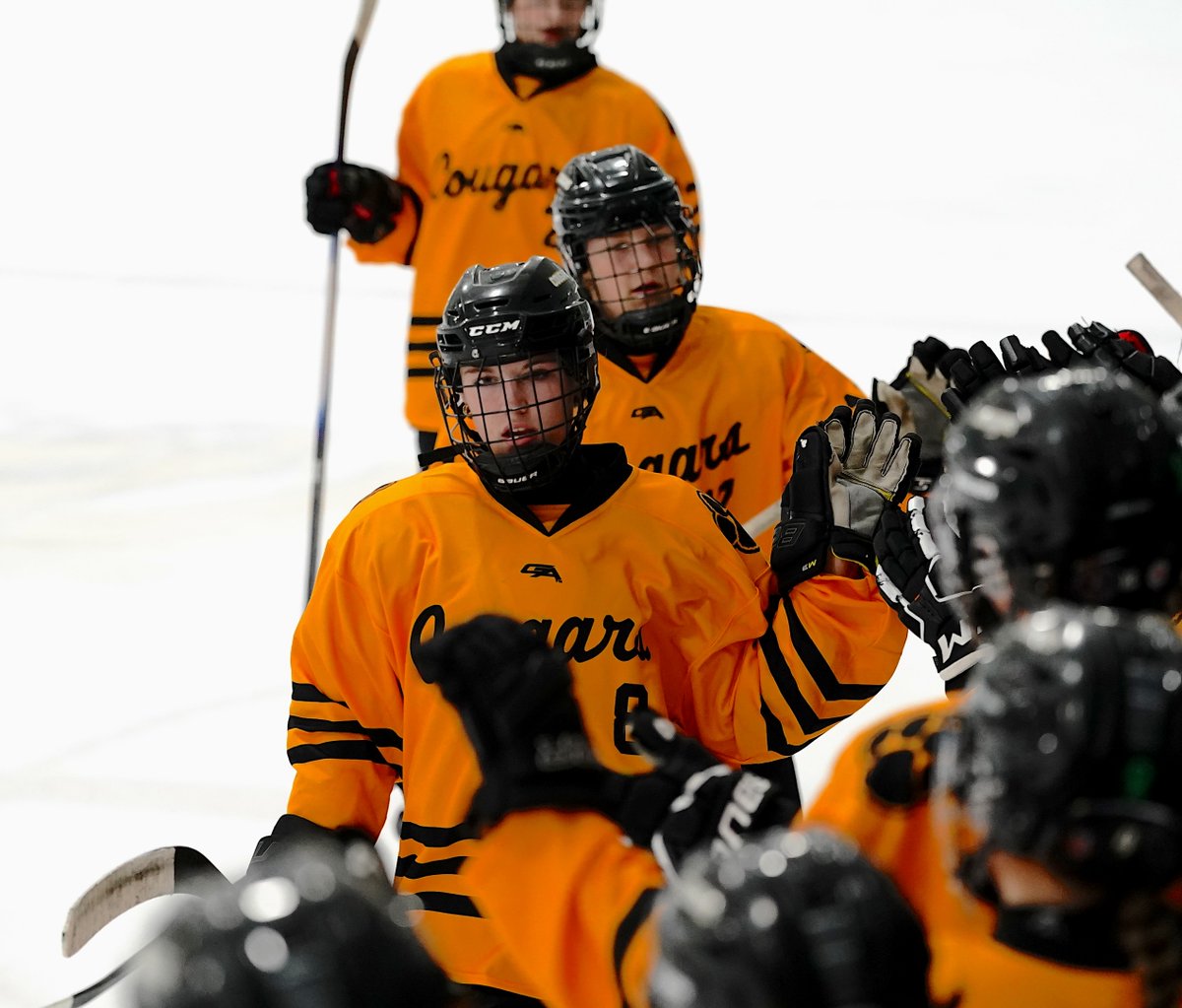 GHS

No. 9A Mankato East > No. 7A Albert Lea (2-0)
SOG: 19-7 (Cougars)

ME: Fugazzi*, Peterson*

End 1