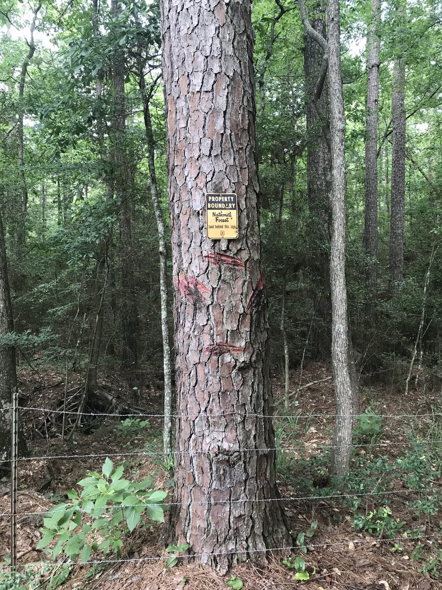 DossBritt's tweet photo. @Lead_Flinger My property line. https://t.co/AOfIF1DWwt