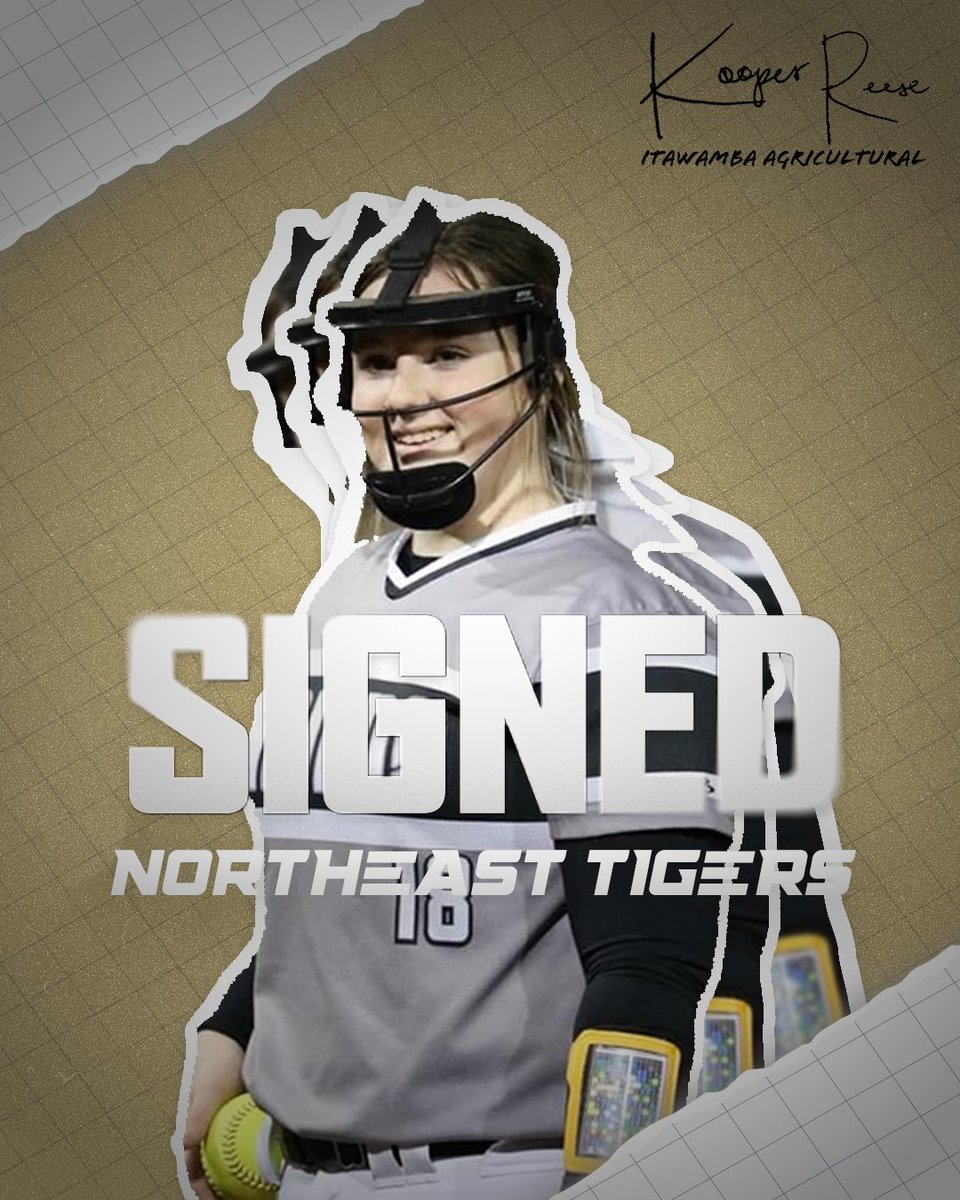 NEMCCSOFTBALL tweet media