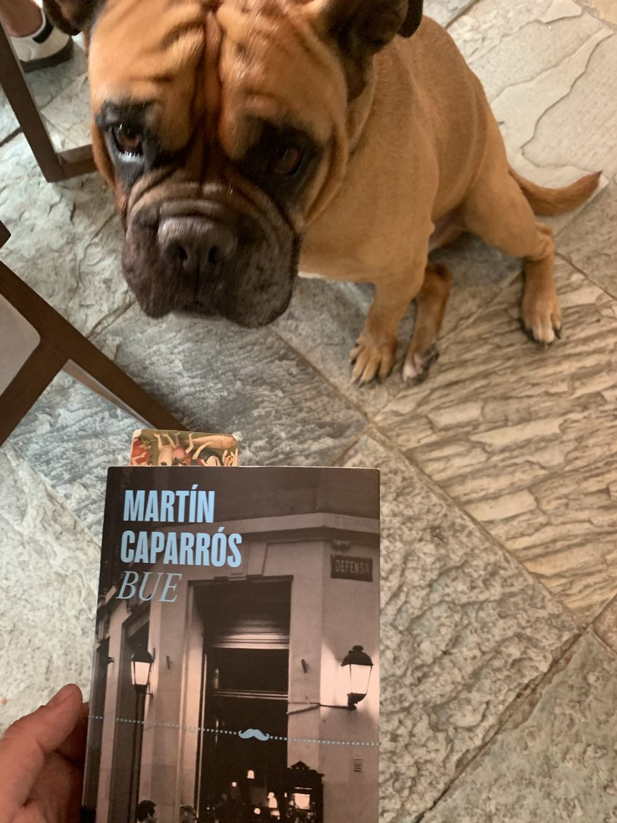 Diego_R_V's tweet photo. Leí BUE de @martin_caparros y como buen libro de Caparrós te deja con más dudas que certezas. Me quedé impresionado por su polifonía. No le dio voz a una ciudad, más bien, escribió y describió las voces que conforman la Ciudad. https://t.co/3EbHNLUvUJ