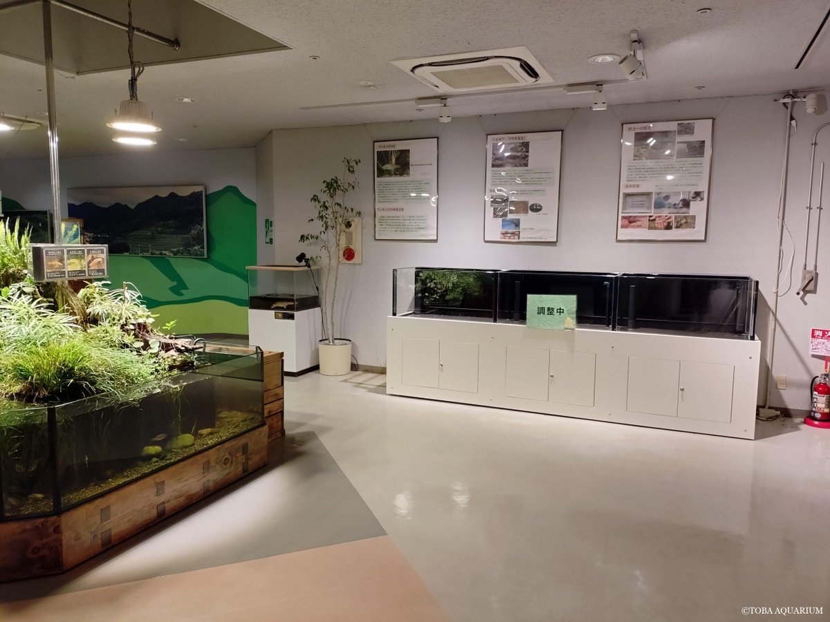 新しい水槽になりますよ！: みなさまにお知らせがあります！ このたびJ 