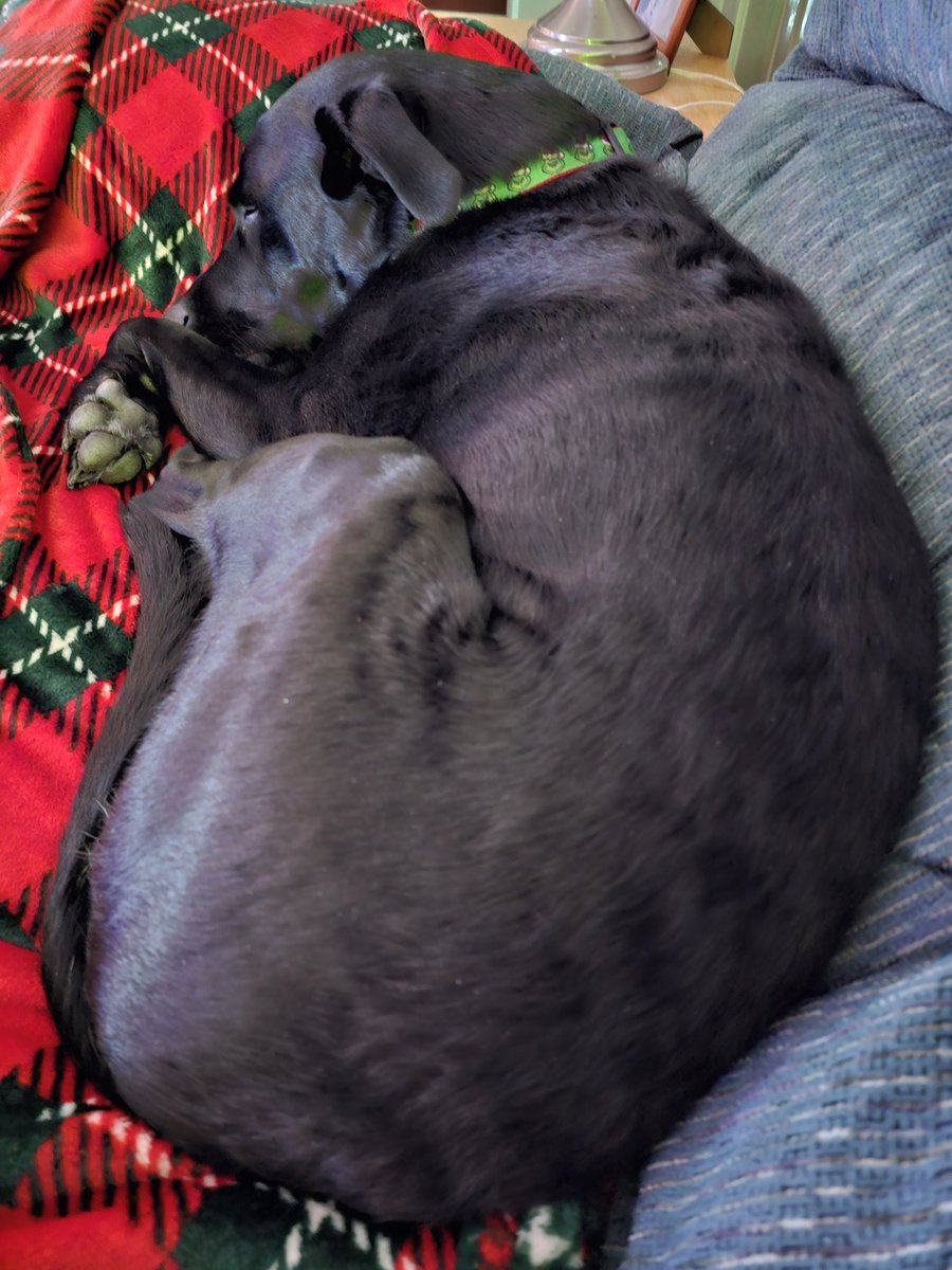 PacBlue's tweet image. 