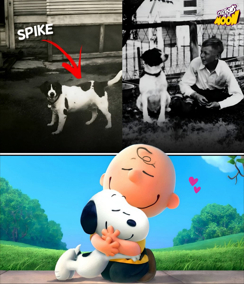 Un dato animado hasta que salga Beyond The Spider-Verse. Día 143.

Snoopy no es solo una caricatura, es una carta de amor eterna:

Charles Schulz lo creó inspirado en Spike, el perro de su infancia y la mascota que más amó. Spike no era común, entendía más de 50 palabras, tenía