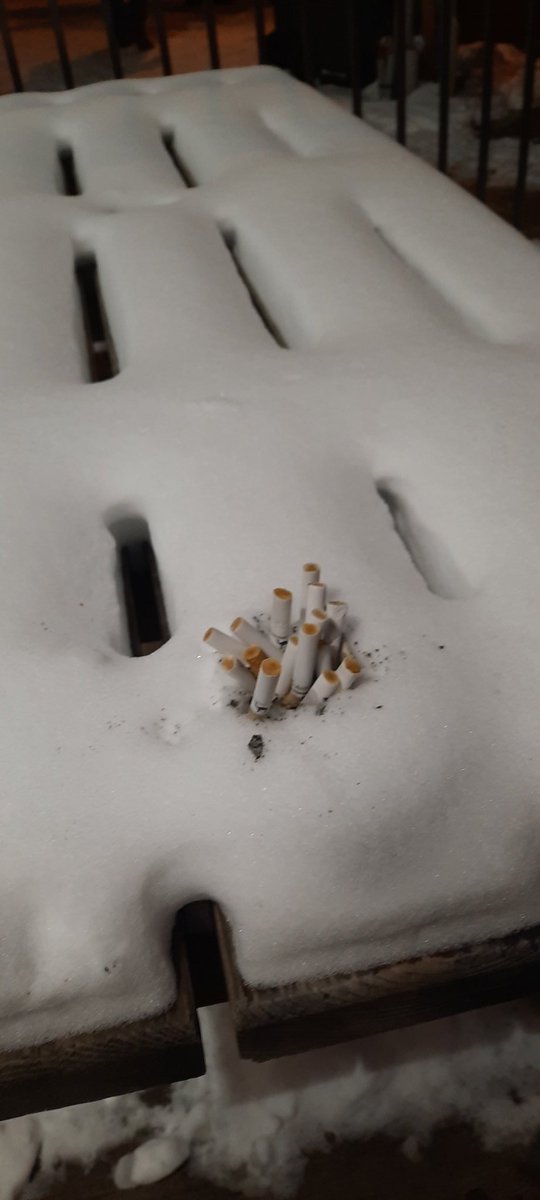 VDL | stu tweet media