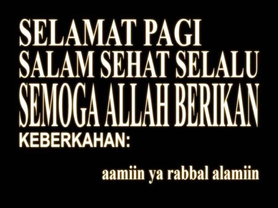 PetrolWeeb's tweet image. 