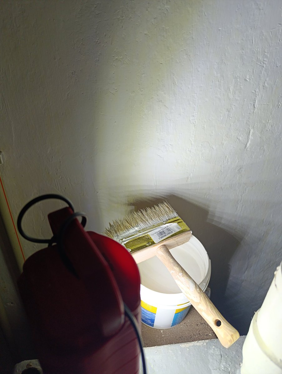 Света нет, Мусик поел и дальше спать лег... Ну иди и ты спи. Нет, надо срочно красить стену среди ночи 😅