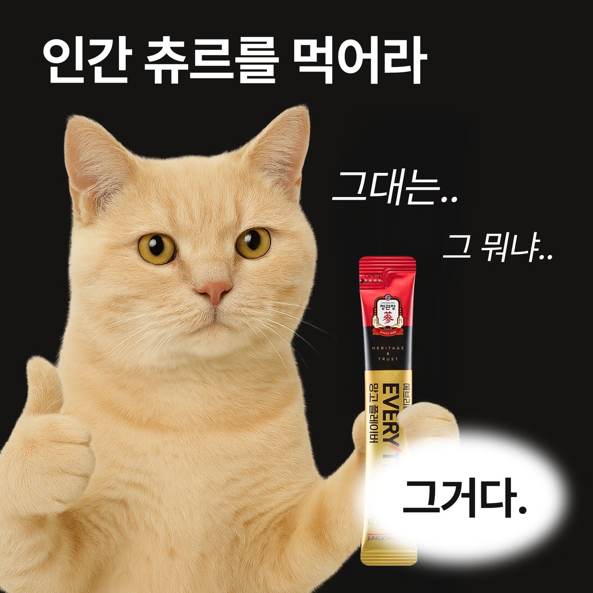 need_more333's tweet photo. 나눠 먹으면 그거가 그러신다고 해서
그러를 준비했어요 암튼 그렇타요.
 
오늘도 인간 츄르 영업♥️
팔로우,RT= 🎁정관장 에브리타임 망고 플레이버 (~12/21, 10명) https://t.co/nVmVFk7c35