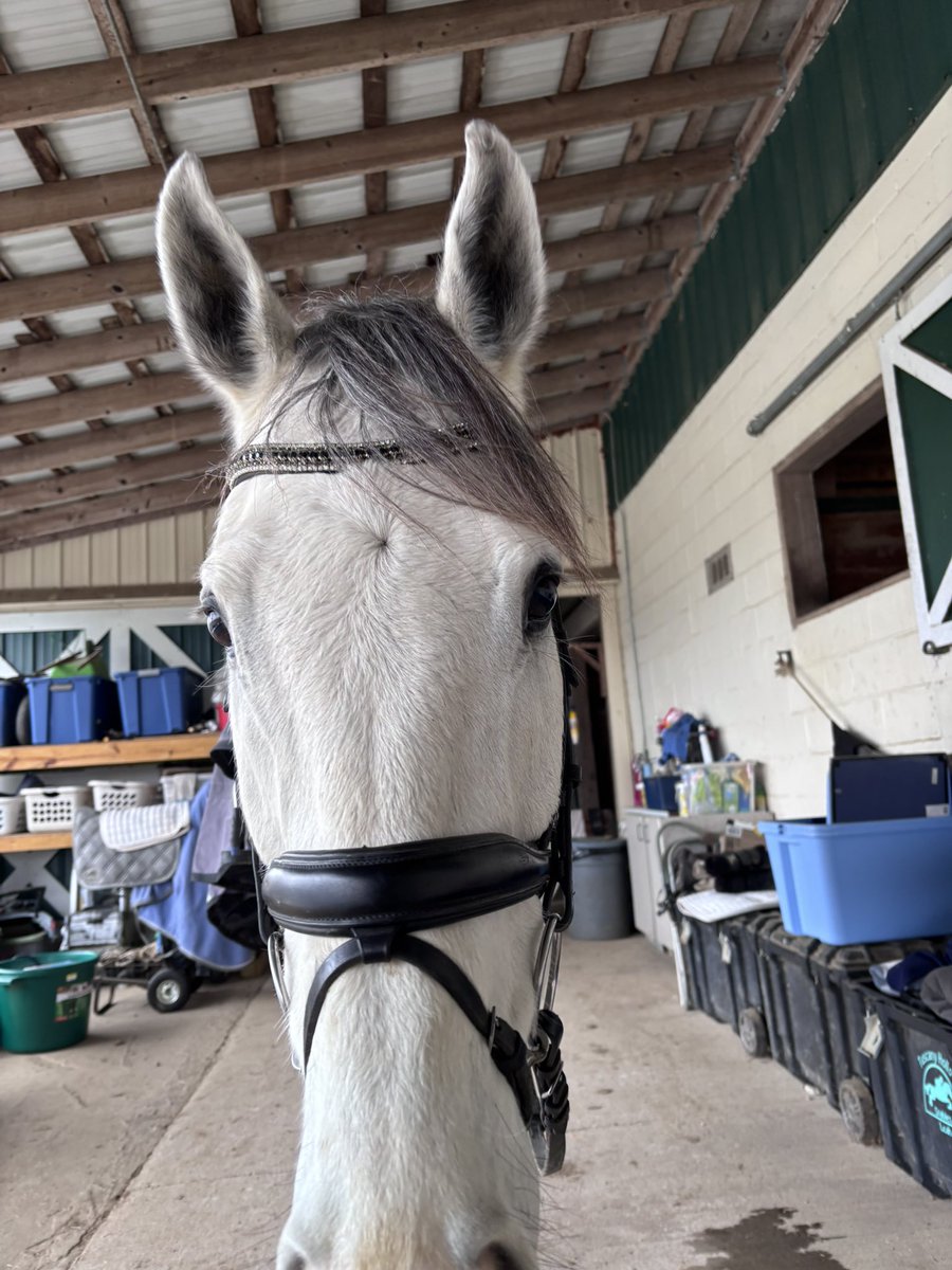 Leah Vasquez tweet media