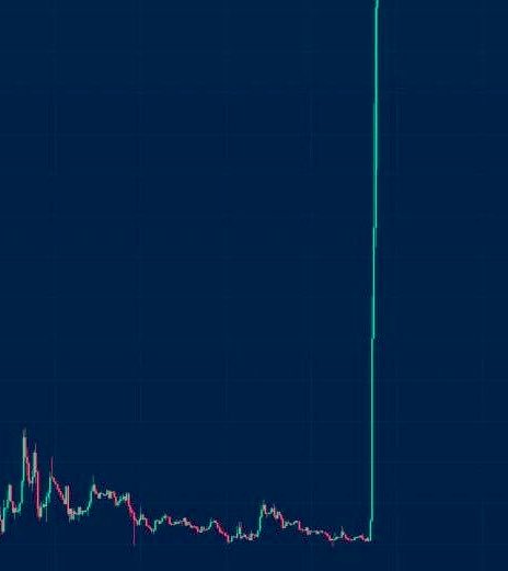 熊猫PANDA🔸🈸 tweet media