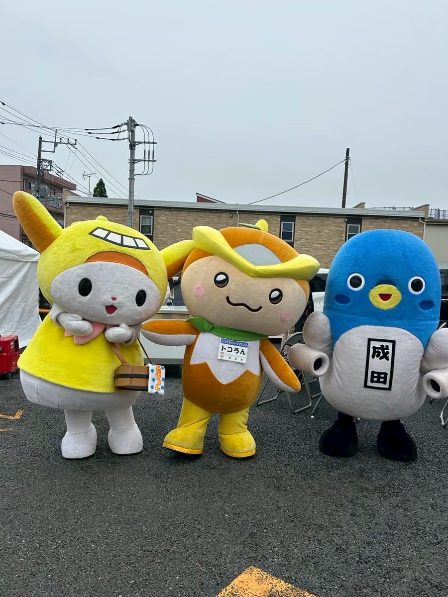 トコろん【公式】 (@tokoron1056) / Posts / X