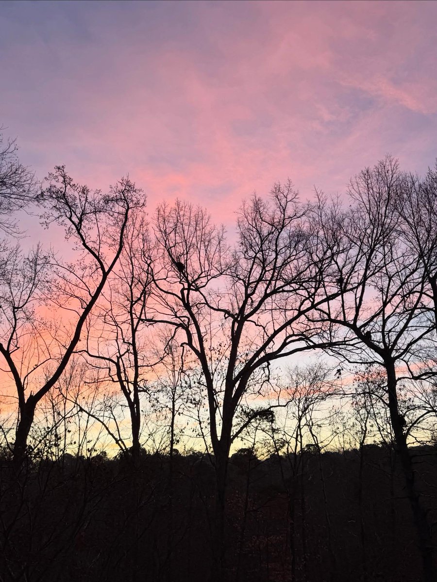 Sue Monk Kidd tweet media