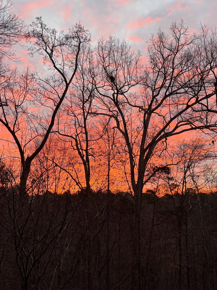 Sue Monk Kidd tweet media