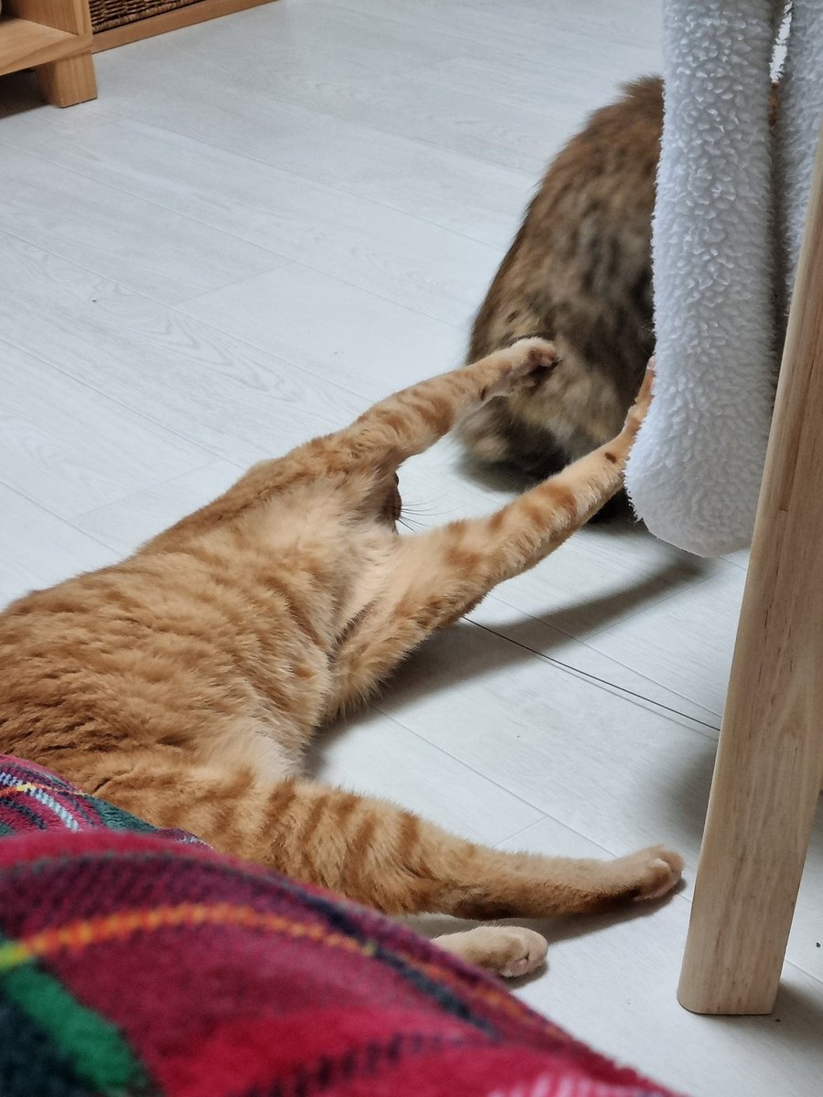 막내와 리호의 관계성