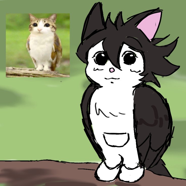 catbat05's tweet image. A small bird cat emoll^^