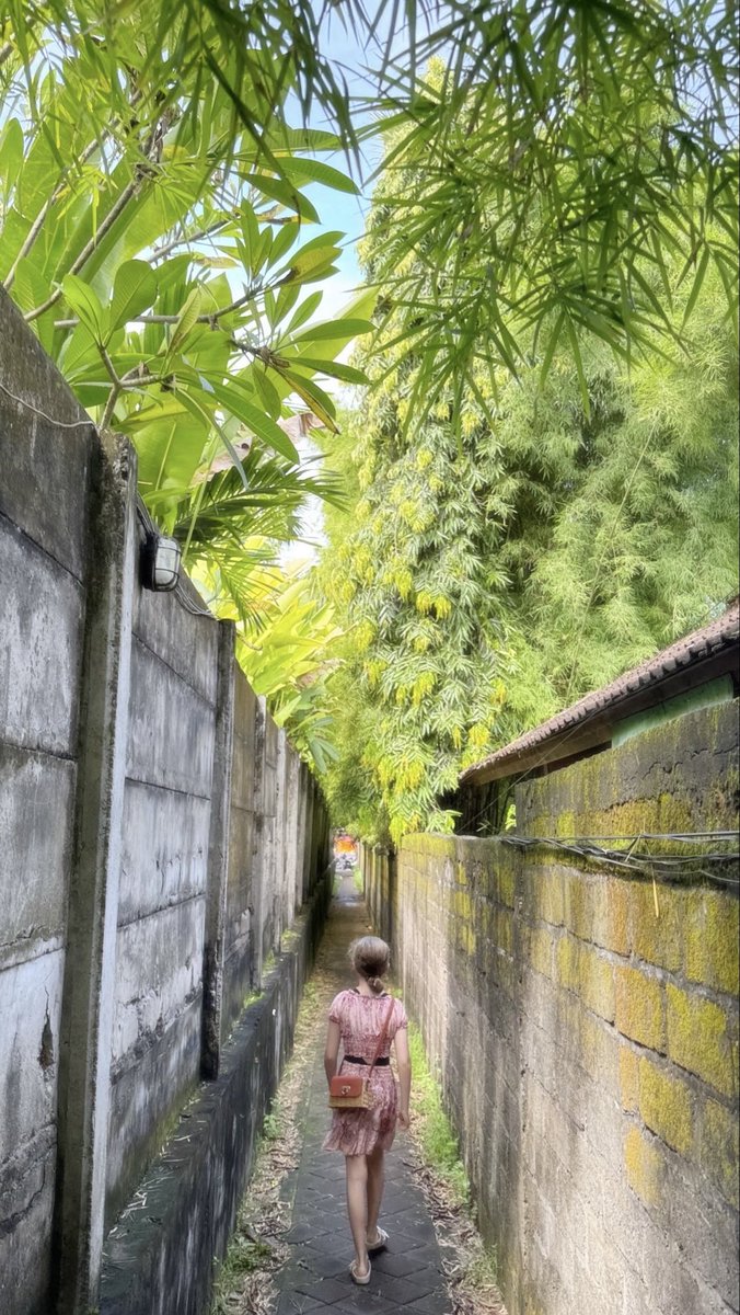 HemFitz's tweet image. Bali