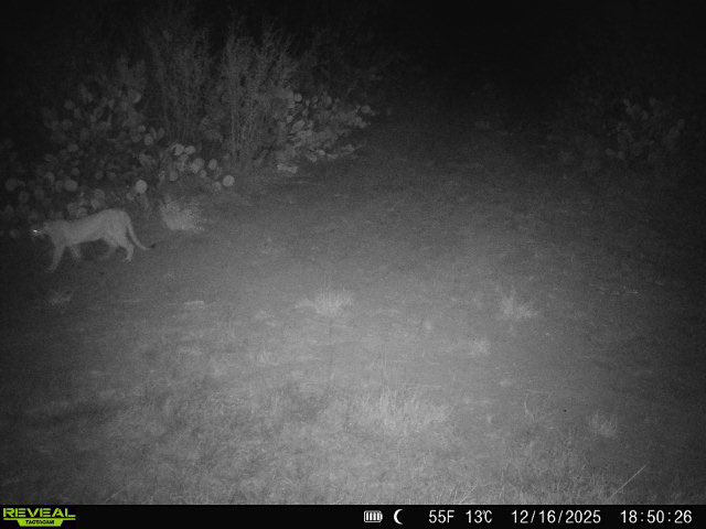 Mike Jeter tweet media