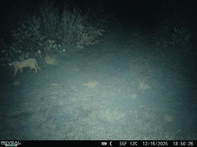 Mike Jeter tweet media