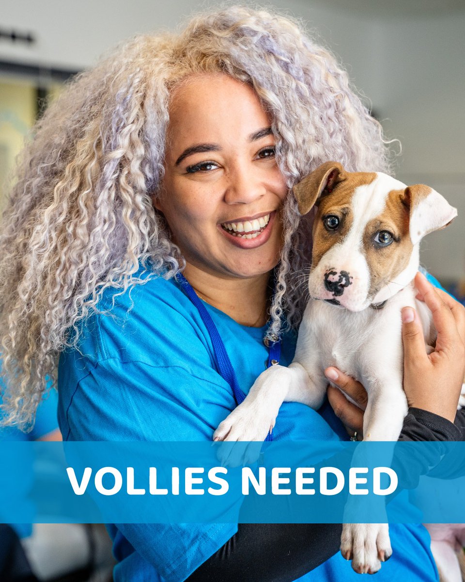 RSPCAQld's tweet photo. We Need YOU! 🫵
Ever wondered if you have the power to change lives? We're here to tell you, you do!

Your unique skills, compassion, and dedication can make a lasting impact to animals in need! 🐱🐶🐹🐴🐦

If you're 16+, sign up to volunteer today! 👉 https://t.co/9zoSOue6gu https://t.co/RR2bio5wGI
