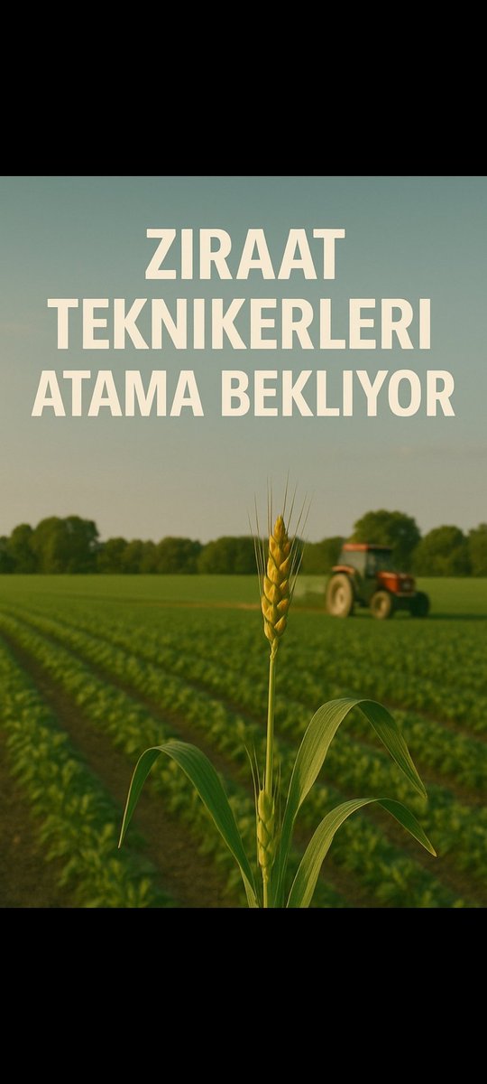 ziraattek's tweet photo. @ibrahimyumakli Sayın bakanim 2020-2022-2024 Kpss puanlarıyla Tarım Bakanlığı'na ziraat teknikeri alınmadı, puanlar boşa gitti. DSİ, TÜRKŞEKER, TMO, TİGEM gibi KİT'lerde teknikerlere daha çok şans verilmeli! Artık sesimize kulak verilmeli
@Seyfullahaslntk 

#ZiraatTeknikerleri750AtamaBekliyor https://t.co/siNaRMaGsy