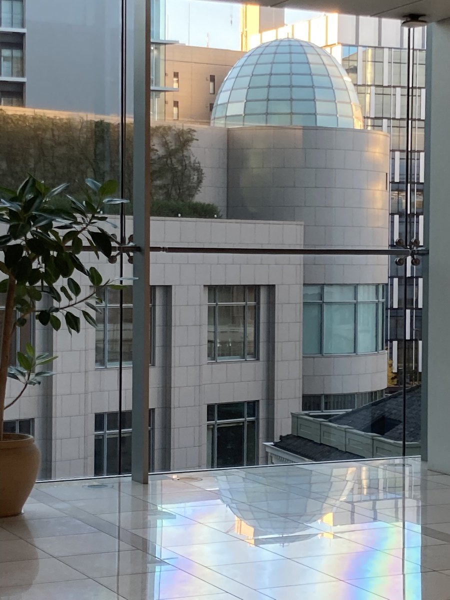 Zoo (@kazu1mori) / Posts / X