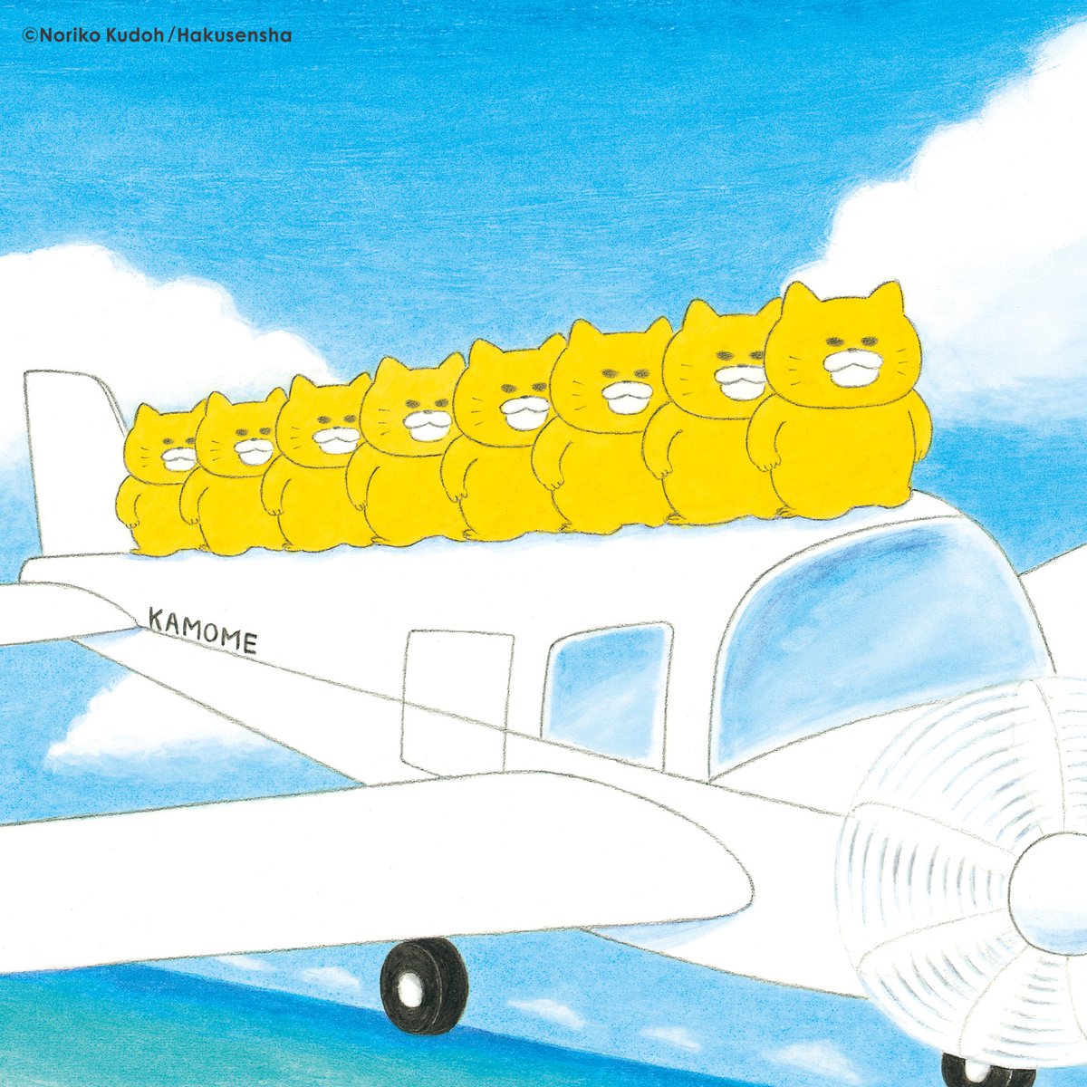 ノラネコぐんだん公式 (@noraneko_room) / Posts / X