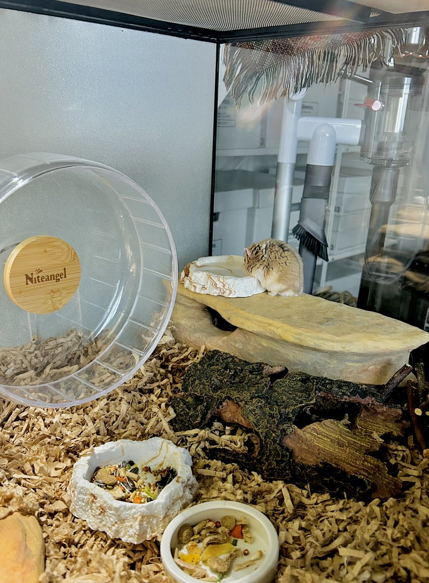 金属細工師 (@yuuhirano0207) / Posts / X