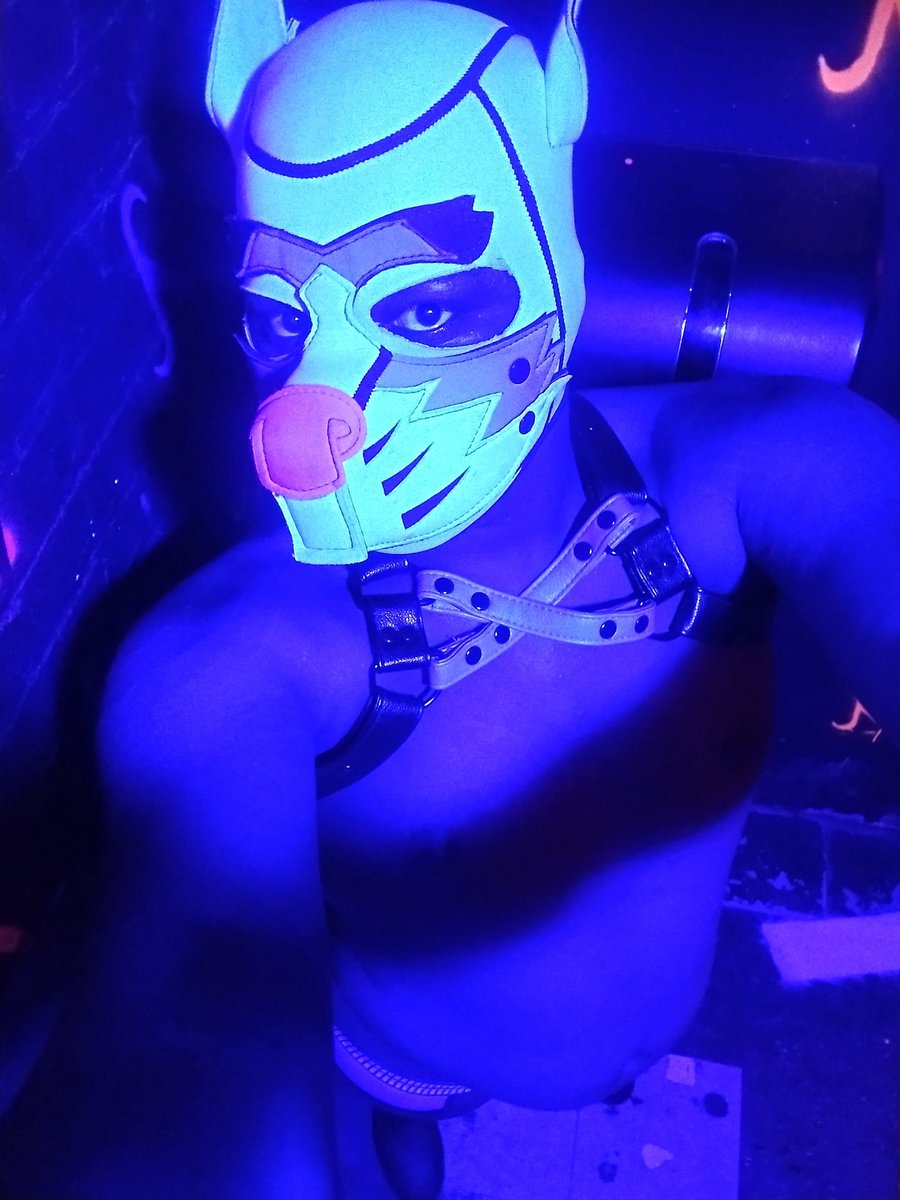 🐾💙QuintheBlue💙🐾 tweet media