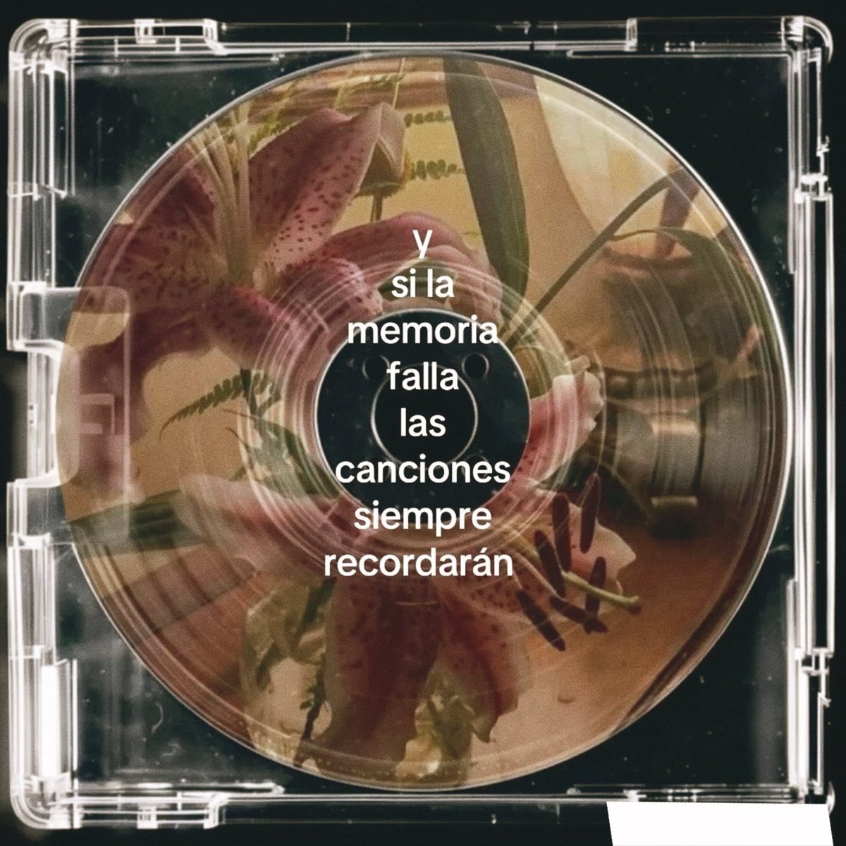 ramé (@escritosrame) on Twitter photo 