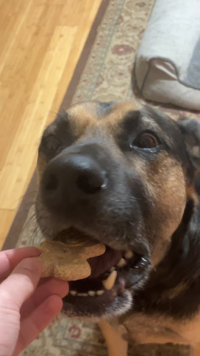 ColbertDolbert tweet media