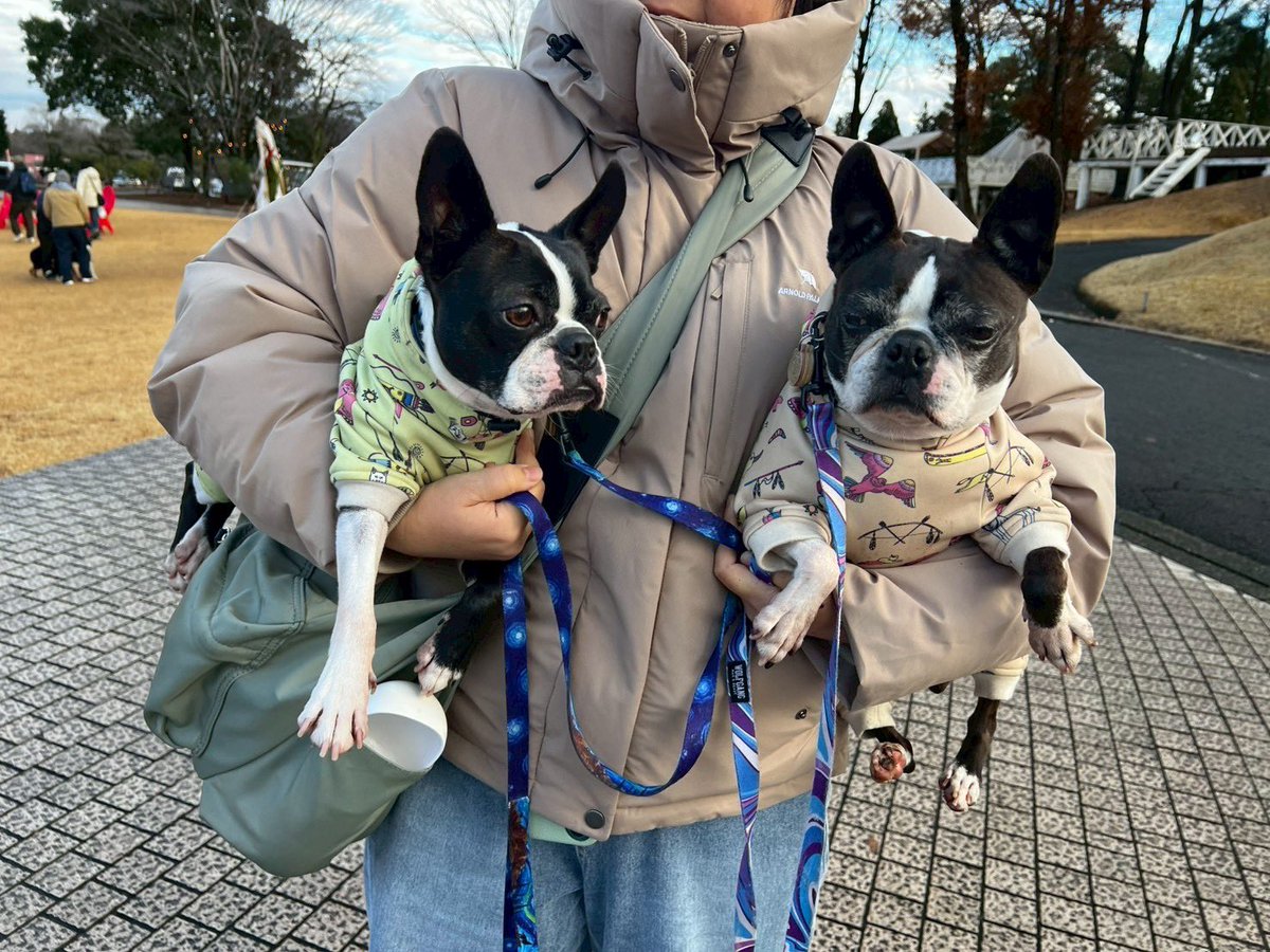 めるも「ボク うぃん、弟はエア 妹はエイル よろしくね