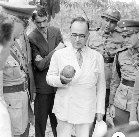 Rogério de Souza Farias tweet media