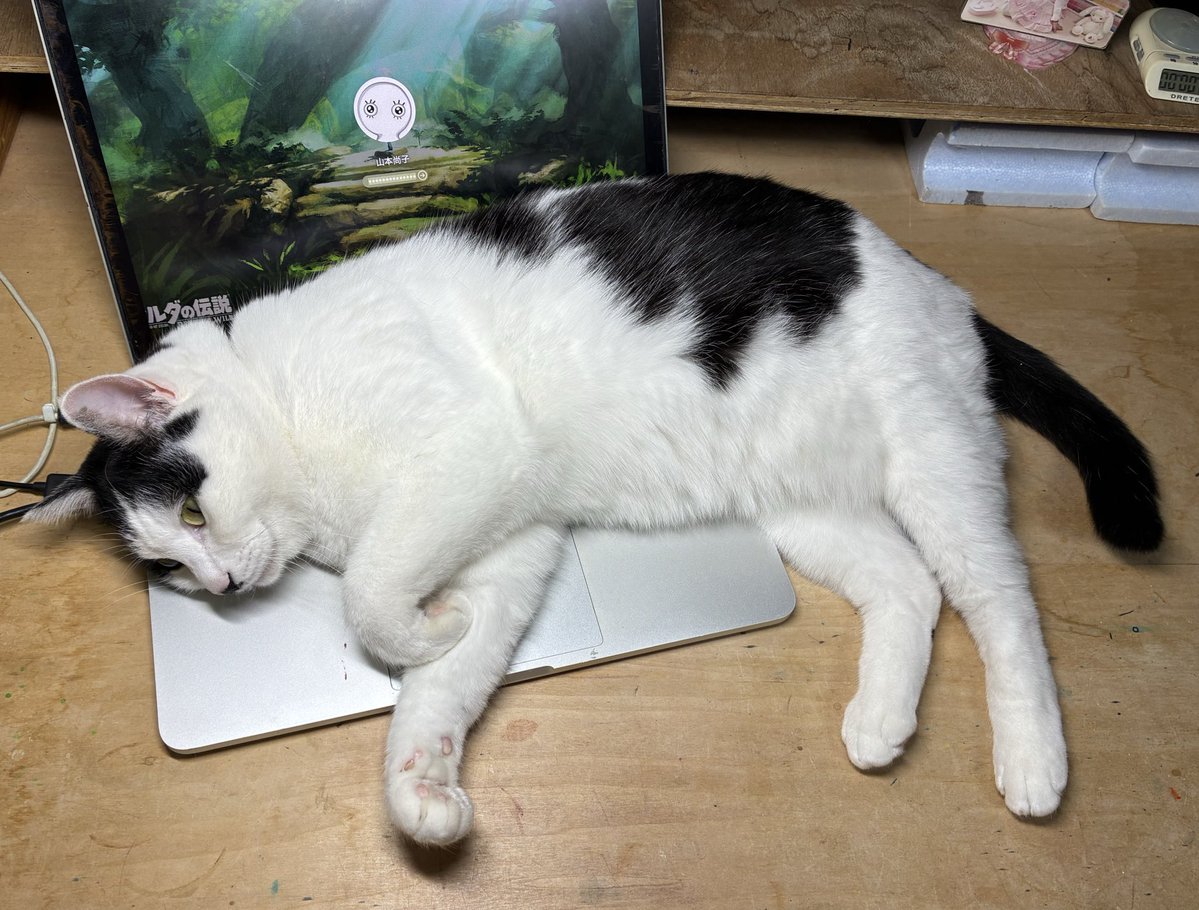 作業邪魔する猫
…いやくつろぎすぎやろ。
#スケッチ #猫 #sketch #cat