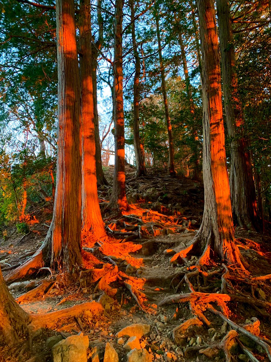 梶原斬鉄 (@kajiwara888) / Posts / X