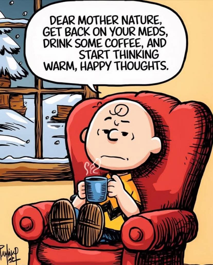 Gretta da Saskatchenach 🏴󠁧󠁢󠁳󠁣󠁴󠁿🇨🇦🍄 (@noragretta) on Twitter photo 