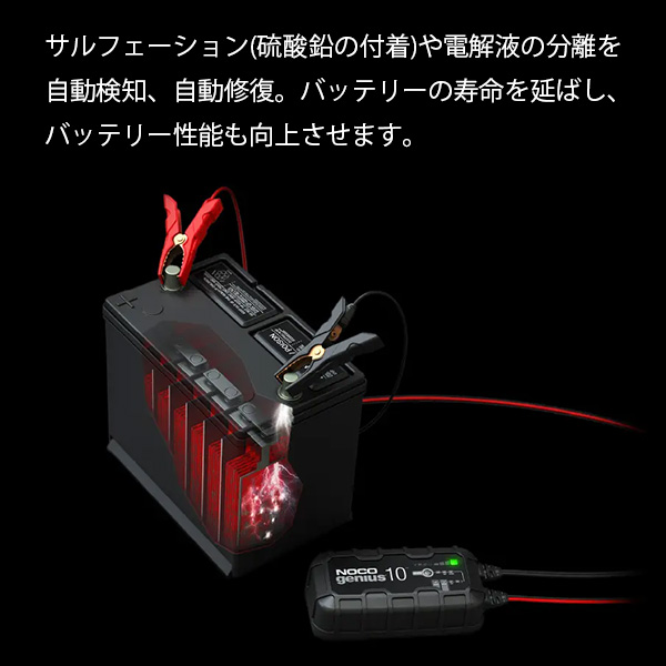 キサカダイレクト tweet media
