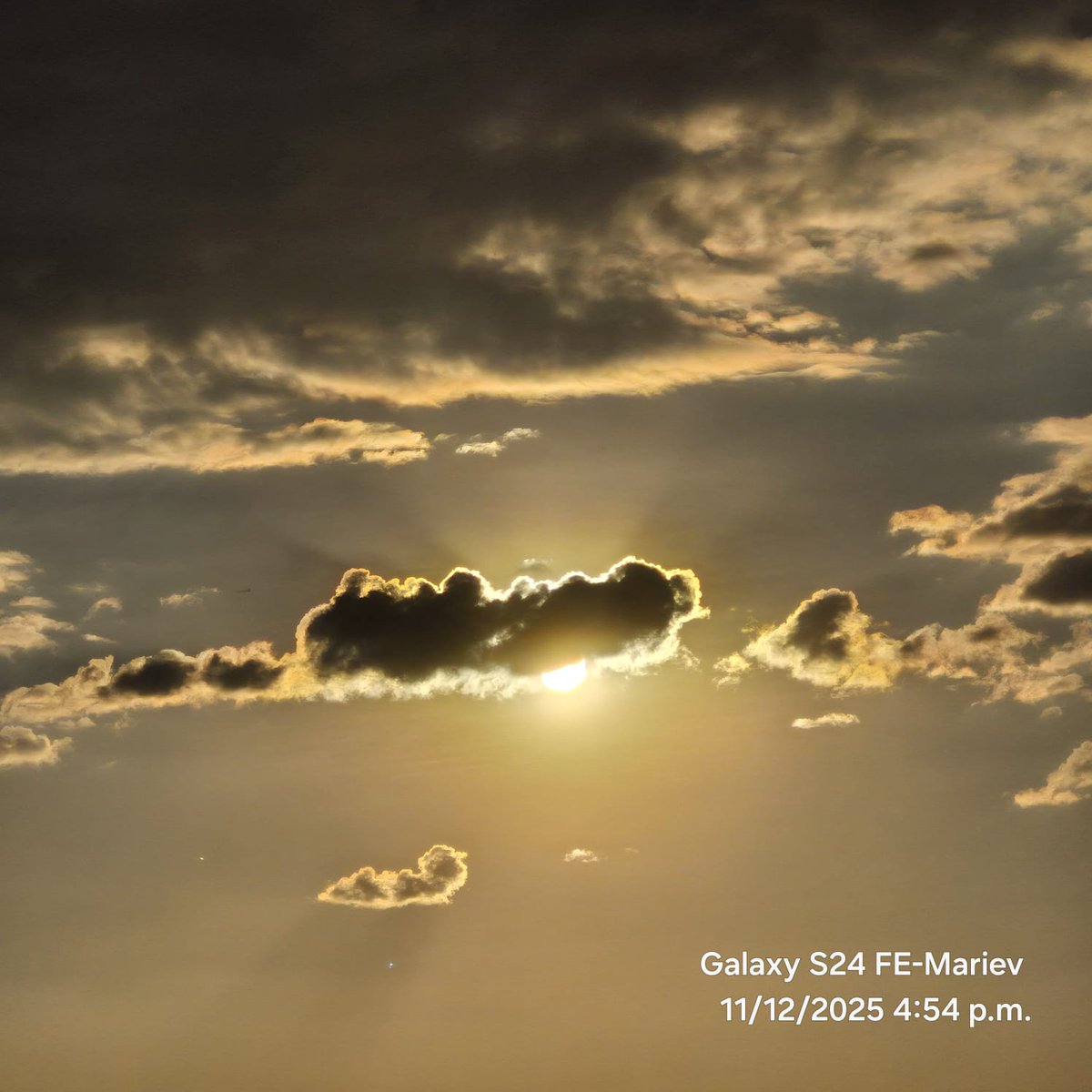 Eva Ortiz tweet media