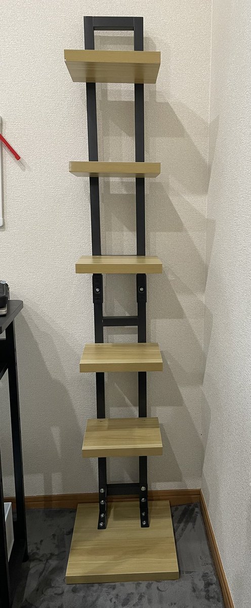 ブックタワー買ってみました😆 職業柄、専門書が多くなってしまうの